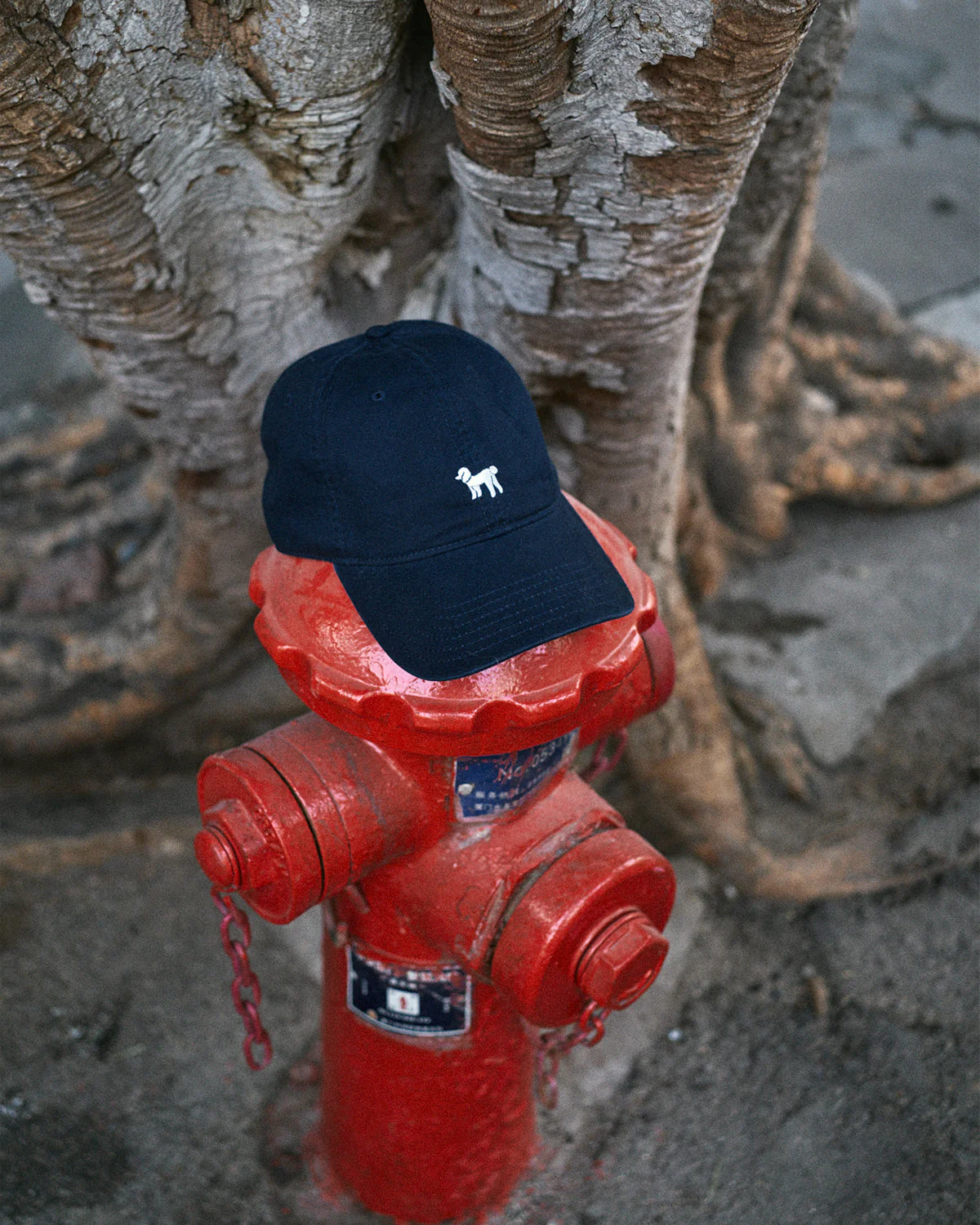 "Pan Pan" Baseball Cap - Deep Blue - Image 3